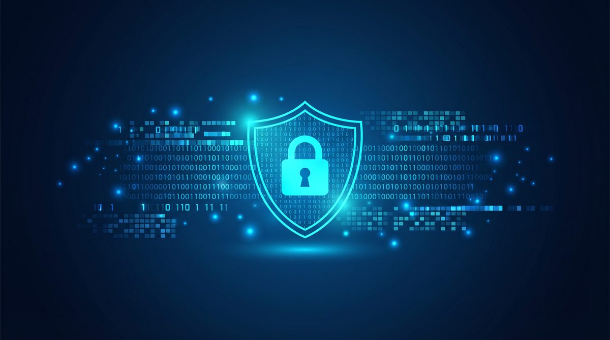 锋鸟加速器隐私安全保护